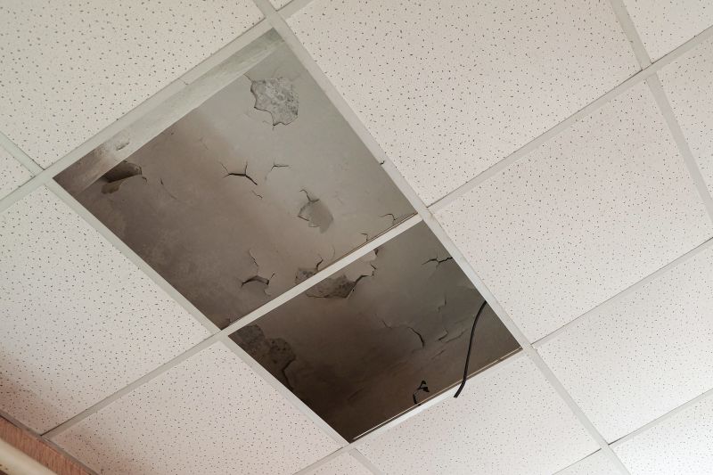 Damaged Ceiling Before Repair